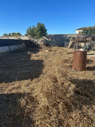JARDINERO EN JEREZ Y CÁDIZ, LIMPIEZA DE JARDINES