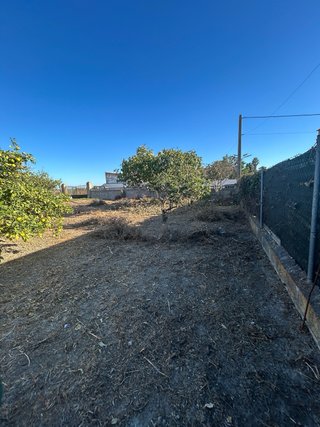 JARDINERO EN JEREZ Y CÁDIZ, LIMPIEZA DE JARDINES