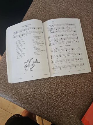 Libro Lectura Musical 1