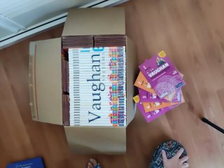 Curso Intensivo Inglés Vaughan Completo