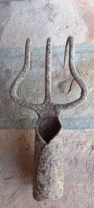 Antico rampino cavabietole ferro battuto