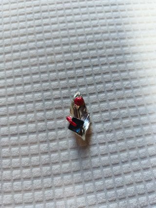 Calamita a foglia con coccinella e cappello