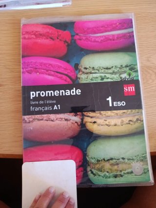 Promenade, français A1, 1 Secundaria Livre de l...