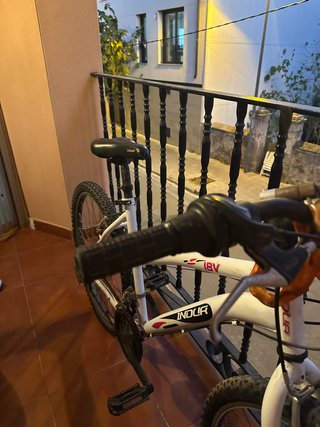 Bicicleta INDUR infantil/juvenil
