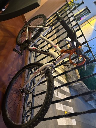 Bicicleta INDUR infantil/juvenil