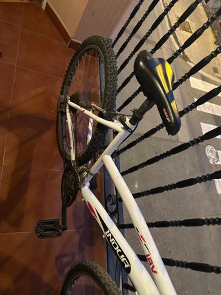 Bicicleta INDUR infantil/juvenil