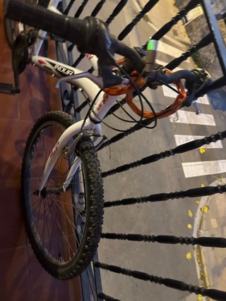 Bicicleta INDUR infantil/juvenil