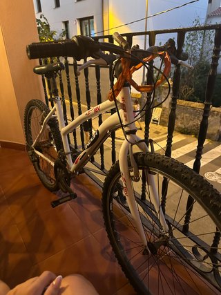 Bicicleta INDUR infantil/juvenil
