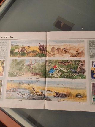 Álbum de cromos Animales Domésticos Panini