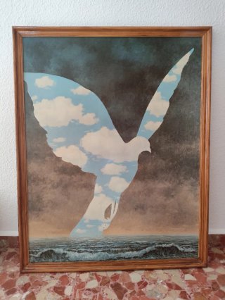 Cuadro de pájaro con nubes y mar