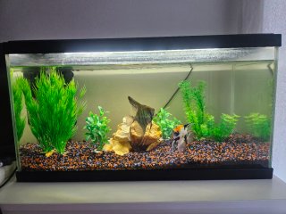 Acuario 48 Litros