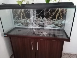 Acuario grande con mueble