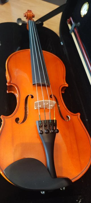 Violín 1/2 para niño/niña En perfecto estado