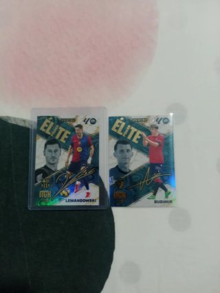 2 Cromos Panini Elite Power