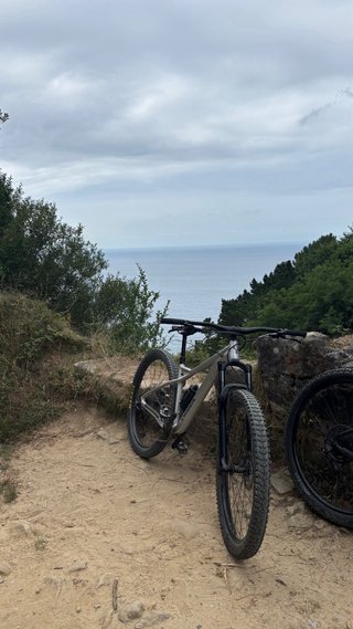 Orbea Laufey MTB