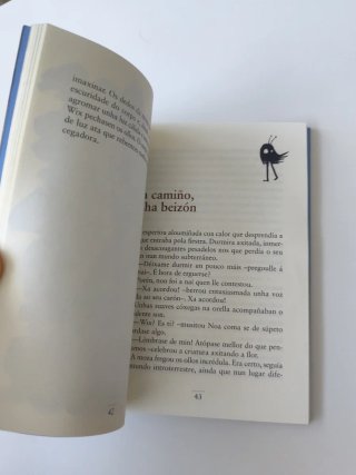 Os ecos do lume