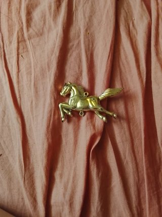 Caballito  dorado