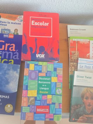 Lote 23 Libros de lectura y diccionarios instituto