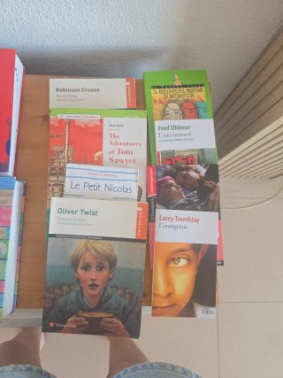 Lote 23 Libros de lectura y diccionarios instituto