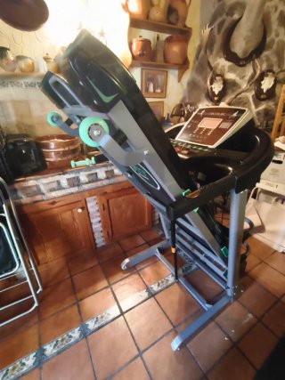 Cinta de correr Cecotec Extreme Track