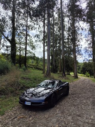 Chevrolet Corvette 1999 C5