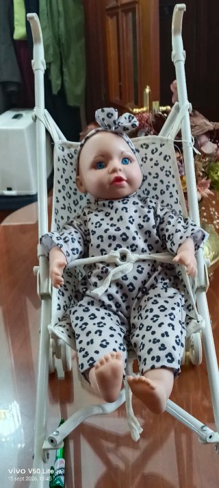 Muñeca con carrito y accesorios
