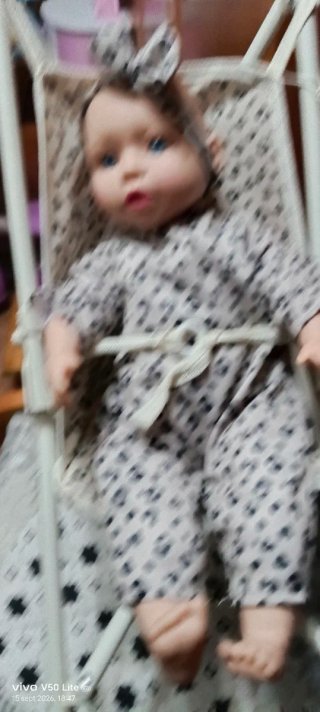 Muñeca con carrito y accesorios