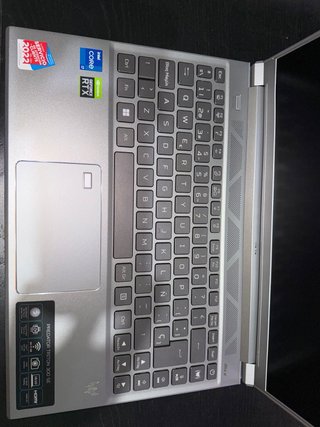 Acer Predator Triton 300 SE Gris/Plata