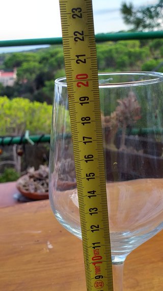 10 Copas Vino 36cl Cristal Hostelería
