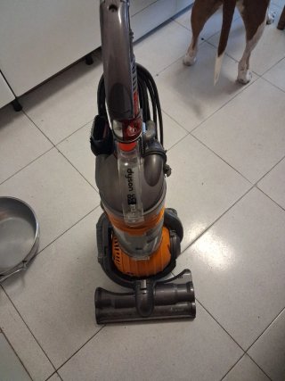 Aspirador Dyson DC24