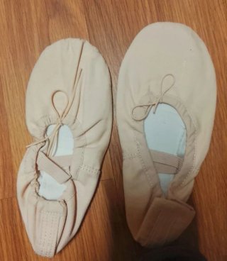 Mallot, zapatillas y medias de ballet