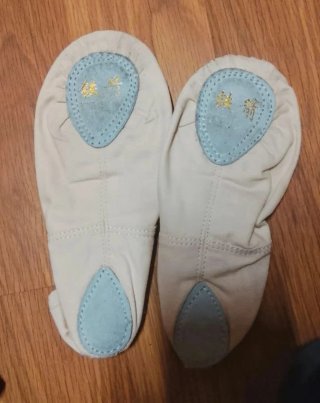 Mallot, zapatillas y medias de ballet