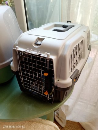 Lote Gatos: Transportín Arenero y cama todo nuevo