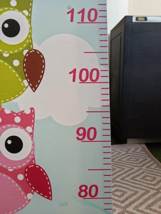 Medidor de pared infantil búhos