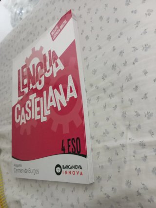 Lengua castellana, 4 ESO, Programa Carmen de Bu...