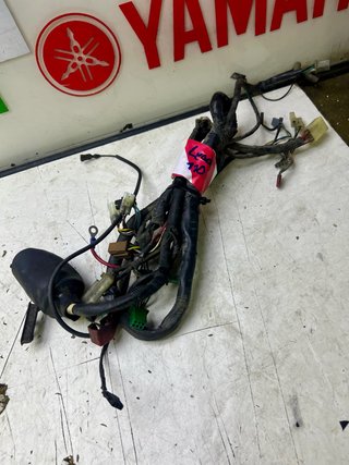Instalación Eléctrica Honda Lead 110