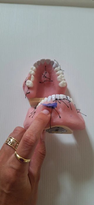 Modelo de cirugía dental
