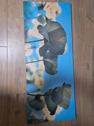 Cuadro ikea 140x56