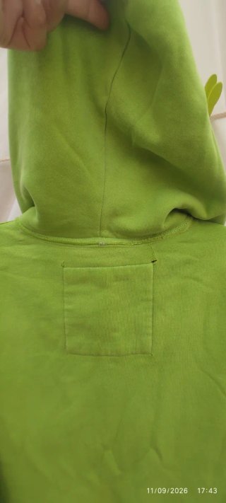 Sudadera Hollister Verde