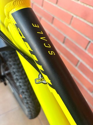 Bicicleta Scott Scale Niños