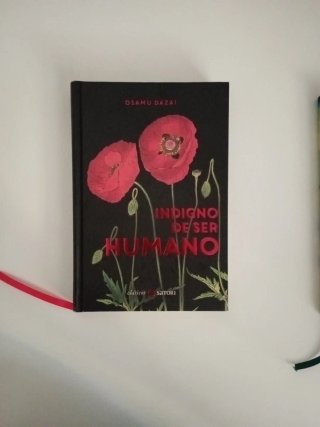 Pack lote libros satori