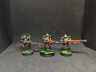 Kill Team Hierotecnólogos Necrones