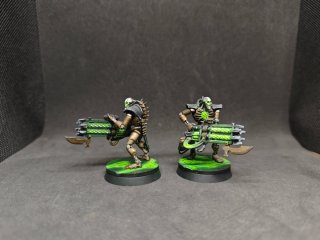 Kill Team Hierotecnólogos Necrones