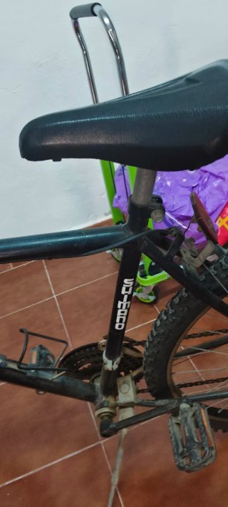 Bicicleta de montaña