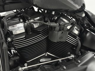 HARLEY DAVIDSON STREET BOB