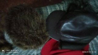 Lote 7 Gorros Invierno de venden todos juntos