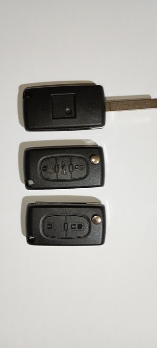 carcasa llave Peugeot 207 307 308 407 607 807