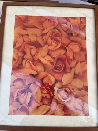 Marcos de madera y cristal con fotos de rosas