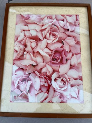 Marcos de madera y cristal con fotos de rosas