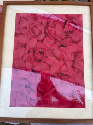 Marcos de madera y cristal con fotos de rosas